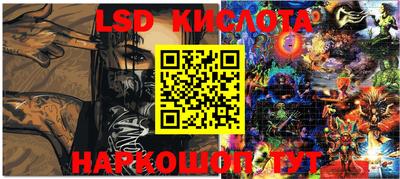 PSILOCYBIN Кунгур