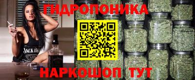 шишки Апрелевка