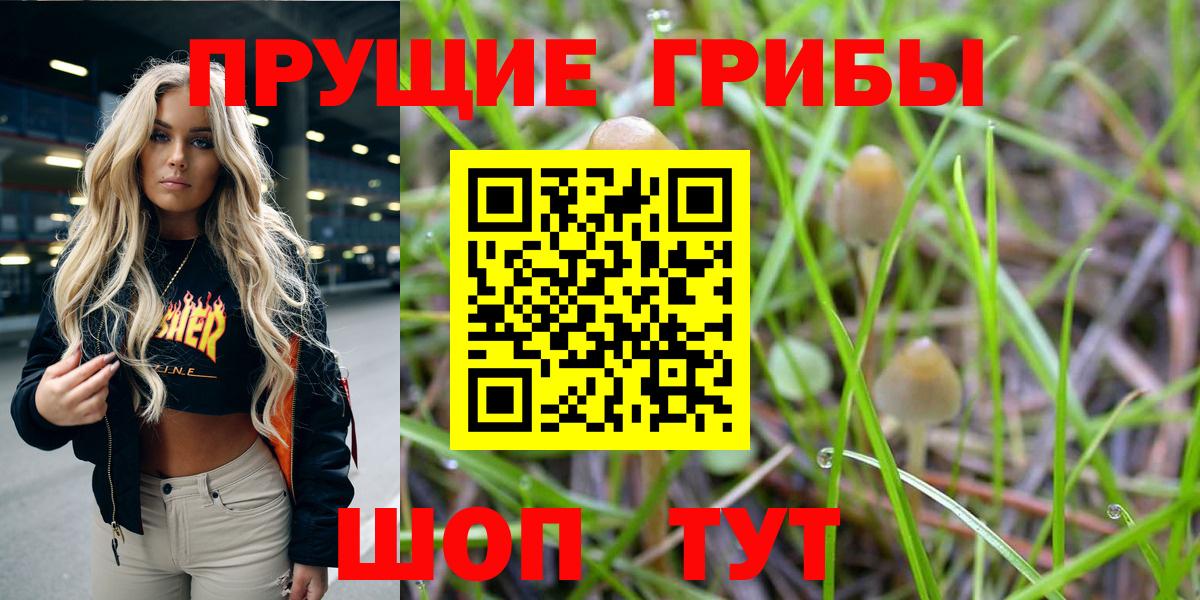 Псилоцибиновые грибы мицелий Заволжье