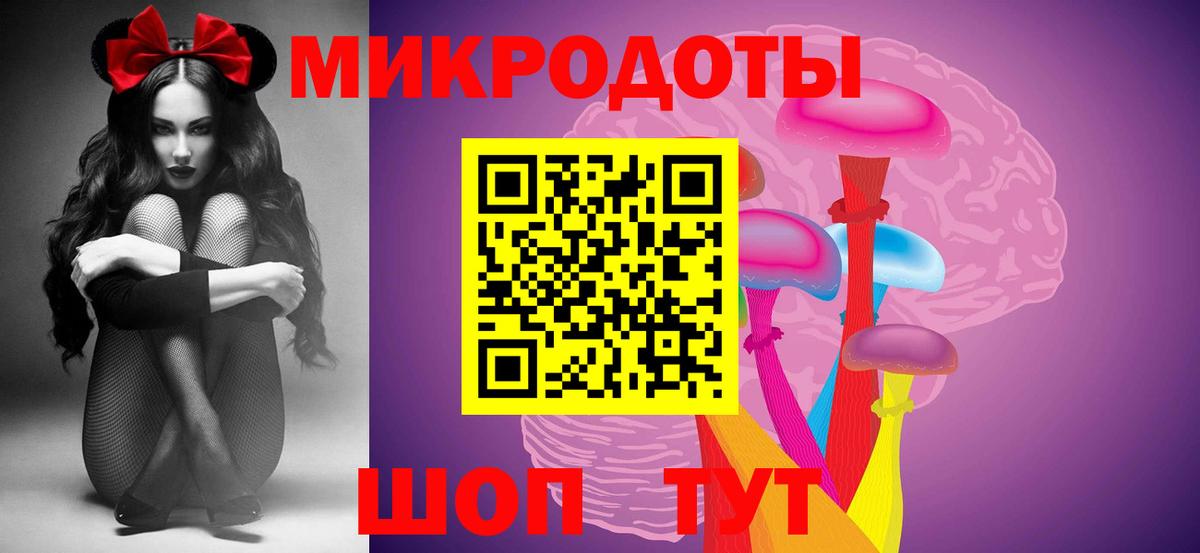 Псилоцибиновые грибы Psilocybe Заволжье