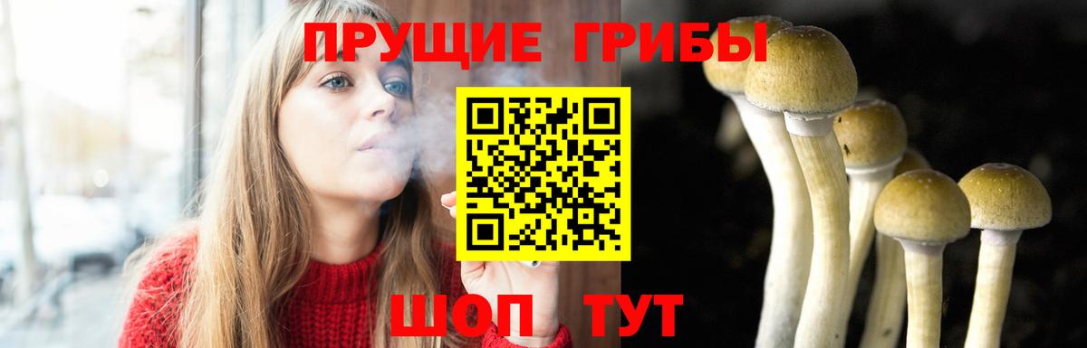 Галлюциногенные грибы Magic Shrooms  Заволжье 